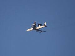 IMG_3256