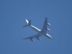 IMG_7478