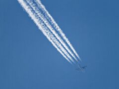 IMG_7492