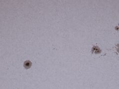 220424_11.11_IMG_8058!!_crop