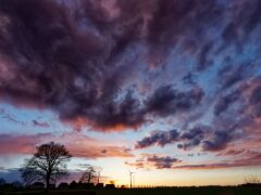 IMG_3282