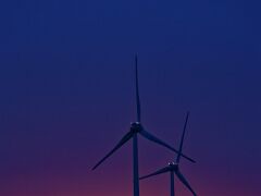 IMG_7564