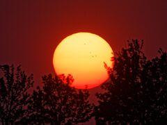 IMG_7977