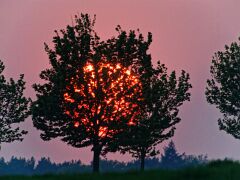 IMG_7991