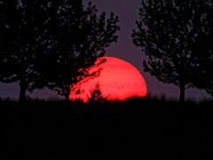 IMG_8001