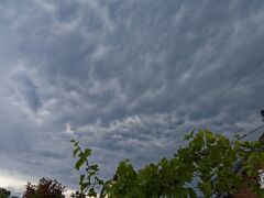 IMG_8275