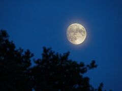 IMG_2395
