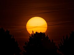250429_20.38MESZ, Sonne,R6HS6234