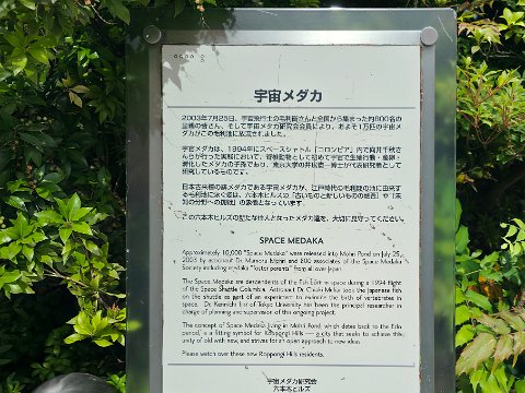 Space Medaka