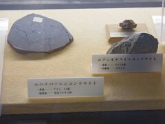 Chondrite Texas & Mexiko