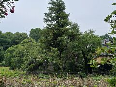 Shoden Island
