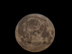 250611_03.42MESZ. Mond, Vollmond-6H,399878km,Erbeermond, niederigster-2043,R6HS0303-1