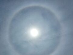 Halo