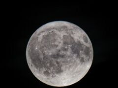 250710_23.53MESZ,Mond,Vollmond+1H,389663km,14.8T,R6HS5441