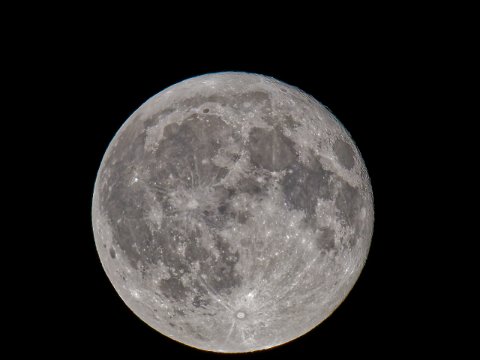 250809_23.12MESZ,Mond,Vollmond+12H,376579km,R6HS7989