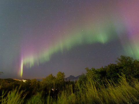 IMG_2764