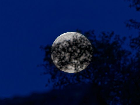 251105_17.17MEZ,Mond,Supermond,355957km,Vollmond+3Stunden,R6HS2600