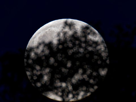 251105_17.18MEZ,Mond,Supermond,355957km,Vollmond+3Stunden,R6HS2617