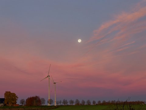 251106_07.31MEZ,Vollmond+16h,IMG_3470