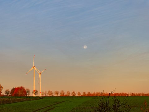 251106_07.31MEZ,Vollmond+16h,IMG_3474