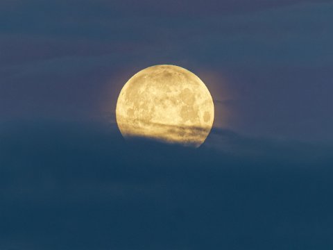 260103_08.27MEZ,Mond,Vollmond-2.5h, 361495km,2R6HS9791_1