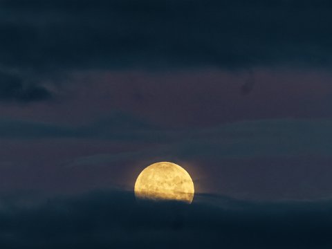 260103_08.28MEZ,Mond,Vollmond-2.5h, 361495km,R6HS9807