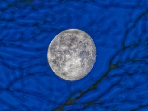 260204_07.53,Mond&Baum,R6HS0120