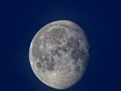 260205_07.51,Mond,R6HS9998-1