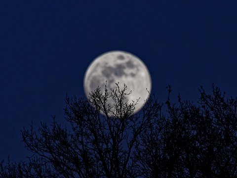 260302_18.22MEZ,Mond,R6HS2452