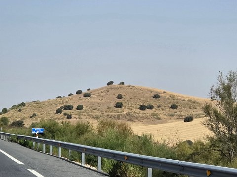 20260809_113331